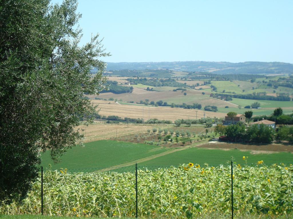 Podere Fontegallo Castiglione del Lago Eksteriør bilde