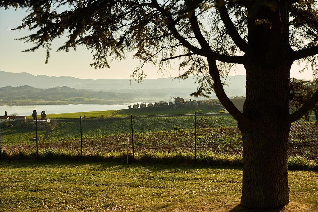 Podere Fontegallo Castiglione del Lago Eksteriør bilde