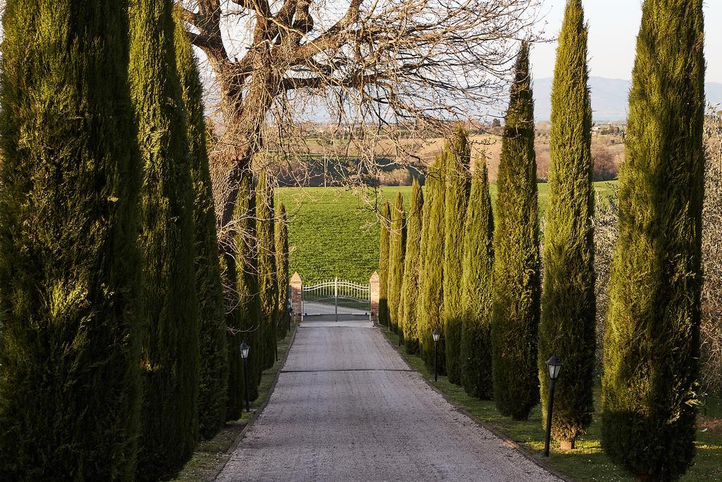 Podere Fontegallo Castiglione del Lago Eksteriør bilde
