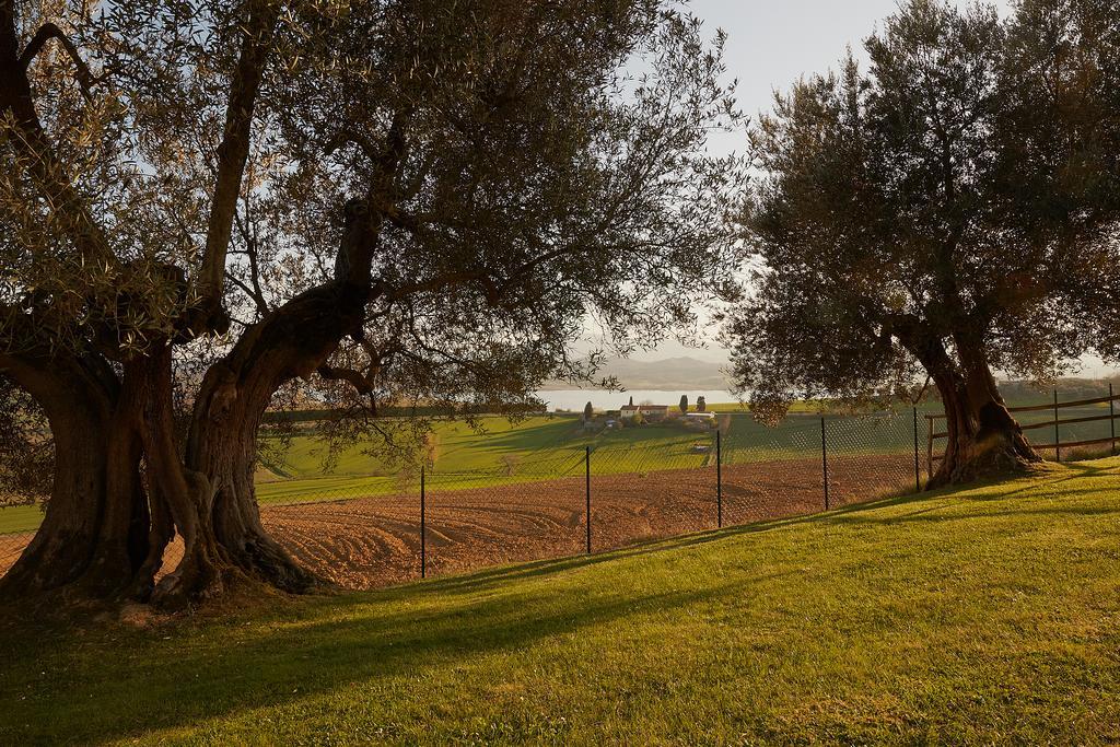 Podere Fontegallo Castiglione del Lago Eksteriør bilde