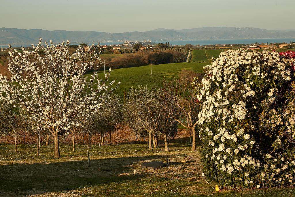 Podere Fontegallo Castiglione del Lago Eksteriør bilde