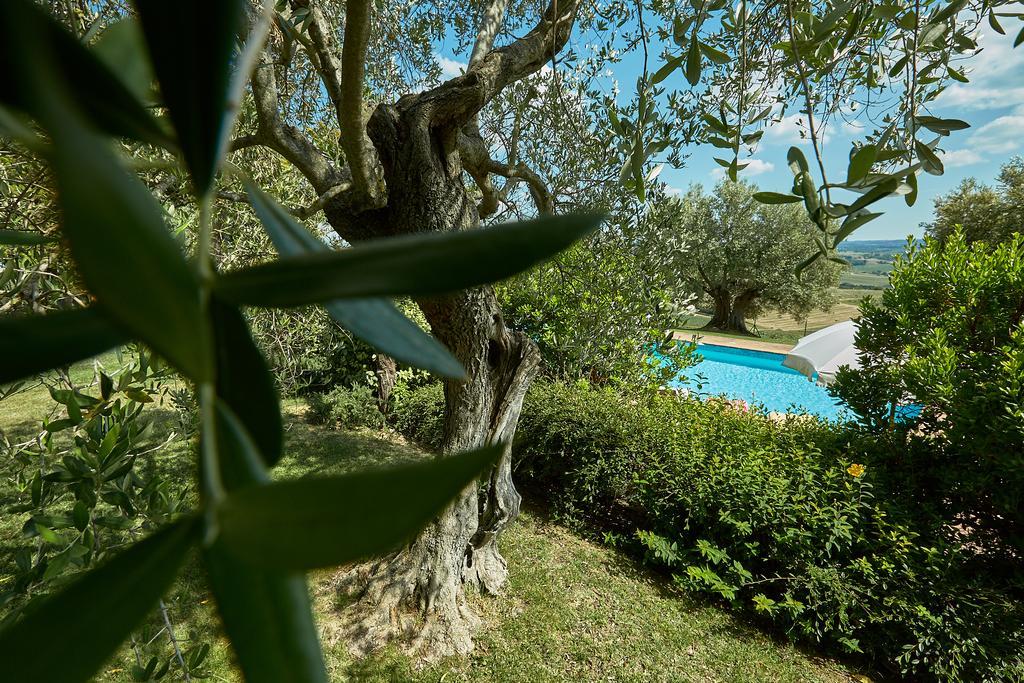 Podere Fontegallo Castiglione del Lago Eksteriør bilde
