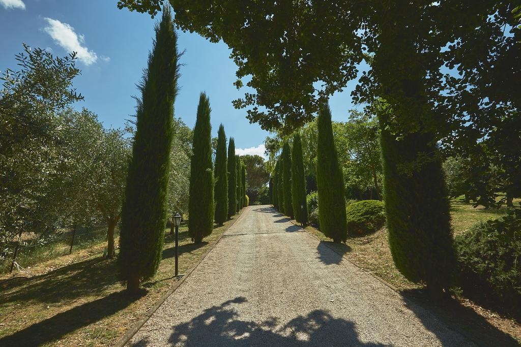 Podere Fontegallo Castiglione del Lago Eksteriør bilde